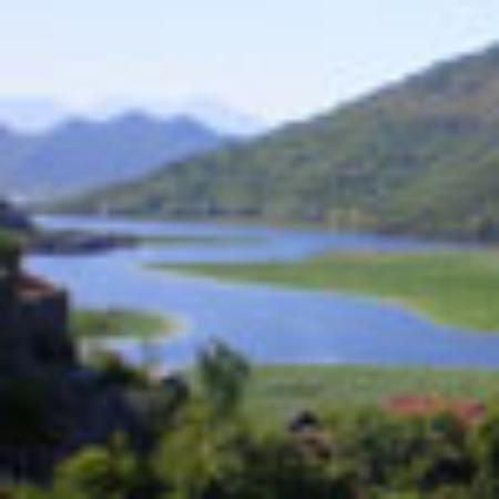 Pollos asados Extremadura